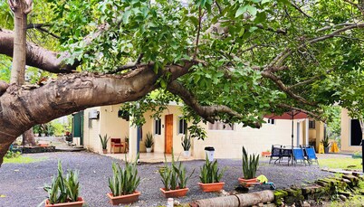 Hostal Camilas