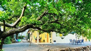 A yellow building with a patio area, outdoor seating, and a large tree providing shade.