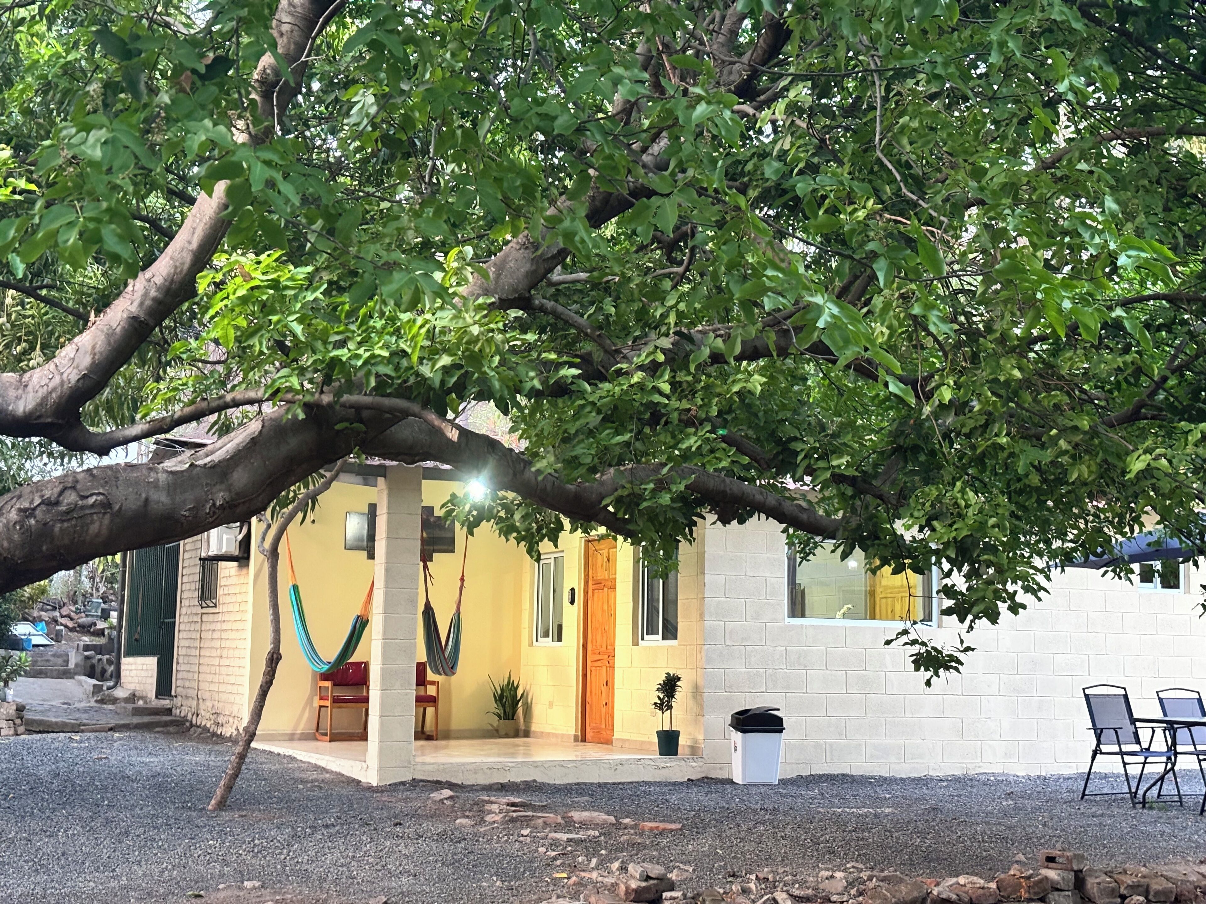 Uma casa com uma grande árvore na frente, uma porta, uma janela e uma pequena área externa com cadeiras.