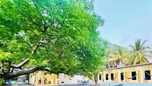 A building with a long corridor, multiple doors, and a hammock.