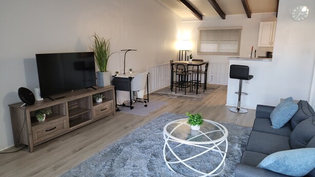 Una sala moderna con un televisor de pantalla plana, un sofá gris, una mesa de centro con una planta, y un comedor con una mesa y sillas.
