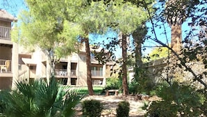 Un patio con una palmera, un banco y un edificio con balcones.