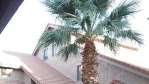 Un edificio residencial con una palmera en el patio, techo de tejas y una escalera de piedra que conduce a un balcón.
