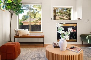 Smart-TV, Kamin
