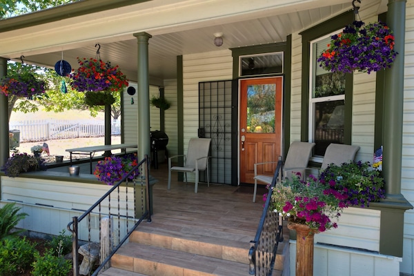 Covered back porch with new pellet grill