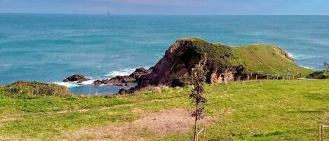 A coastal landscape with a grassy area, a rocky outcrop, and the ocean.