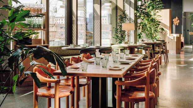 A modern dining area with wooden tables and chairs, large windows, and indoor plants.