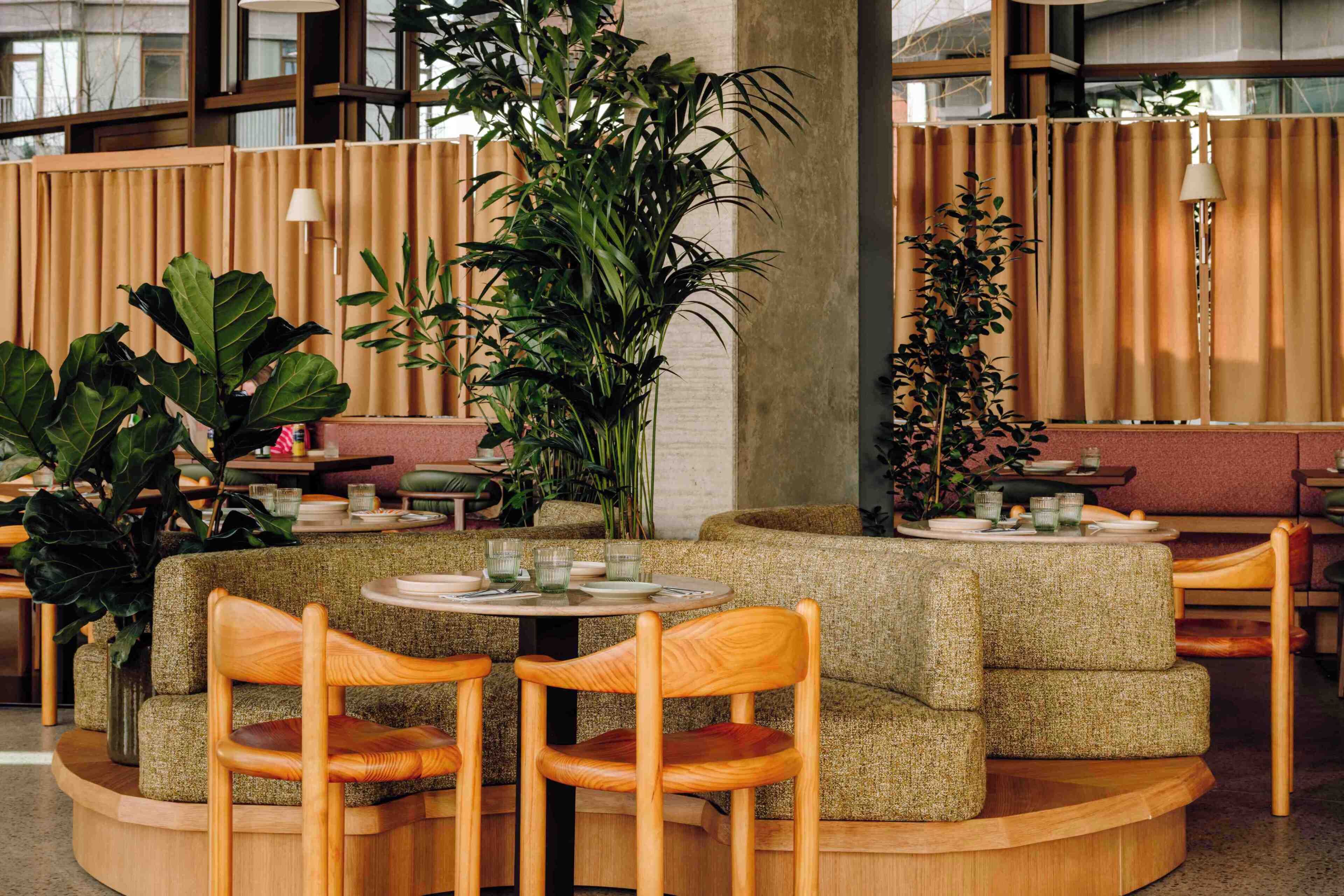 A cozy seating area with cushioned sofas and wooden chairs, surrounded by large potted plants and a round table with a tray of items.