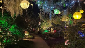 Un sentiero costeggiato da vegetazione rigogliosa e illuminato da lanterne sospese.