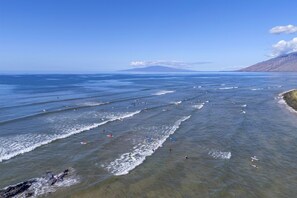 Beach nearby - Shores of Maui 215 - Dramatic Ocean Views, Steps to the Beach, Renovated, AC! (Kihei)