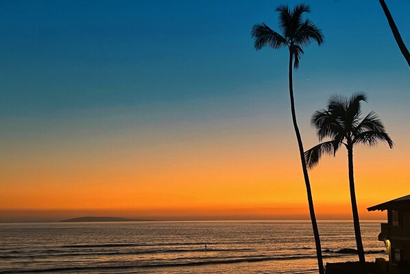 Beach nearby - Shores of Maui 215 - Dramatic Ocean Views, Steps to the Beach, Renovated, AC! (Kihei)