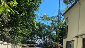 Un jardin avec une pelouse, une terrasse en béton, une clôture et un bâtiment doté de fenêtres.