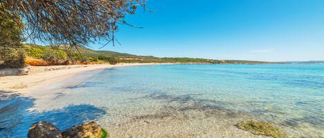 Playa en los alrededores