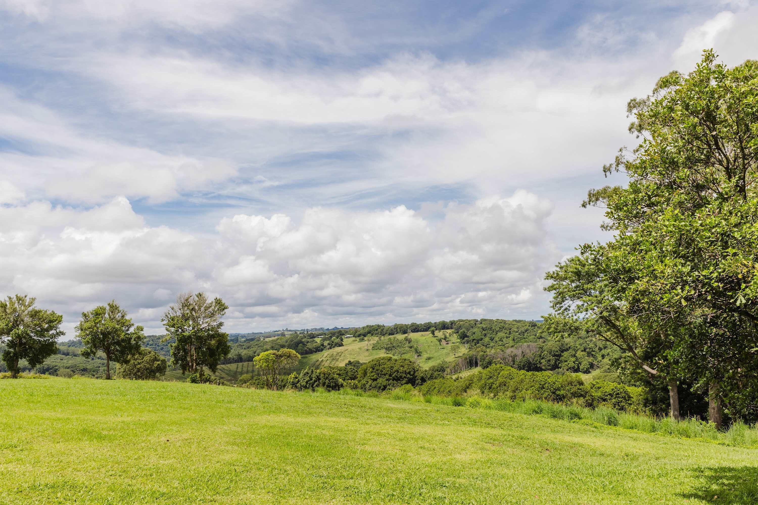 A grassy field with trees and a hilly landscape in the background.