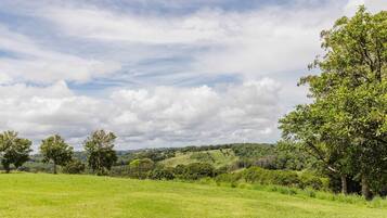 A grassy field with trees and a hilly landscape in the background.