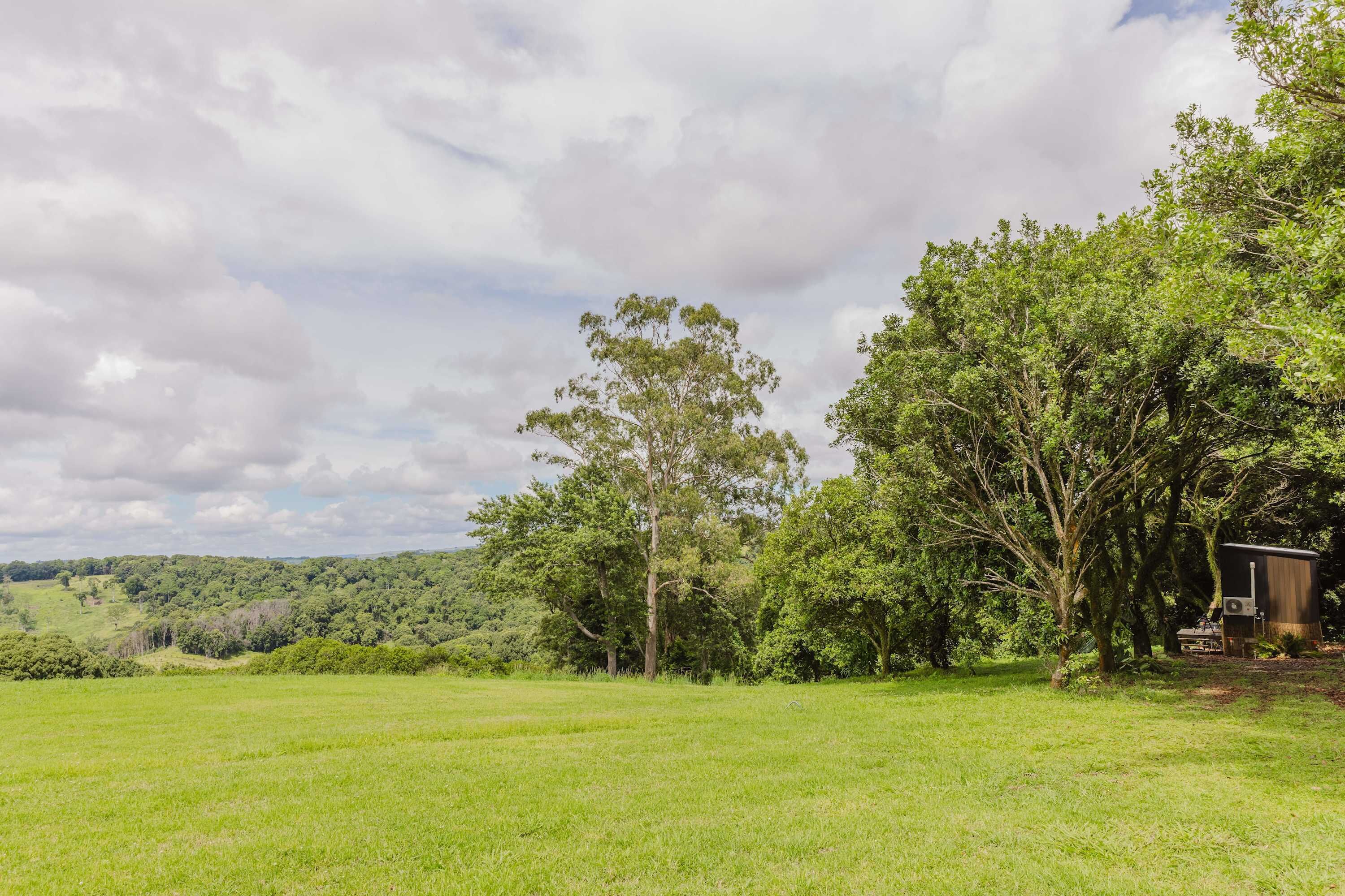 Ein grünes Feld mit Bäumen und einem kleinen Gebäude.