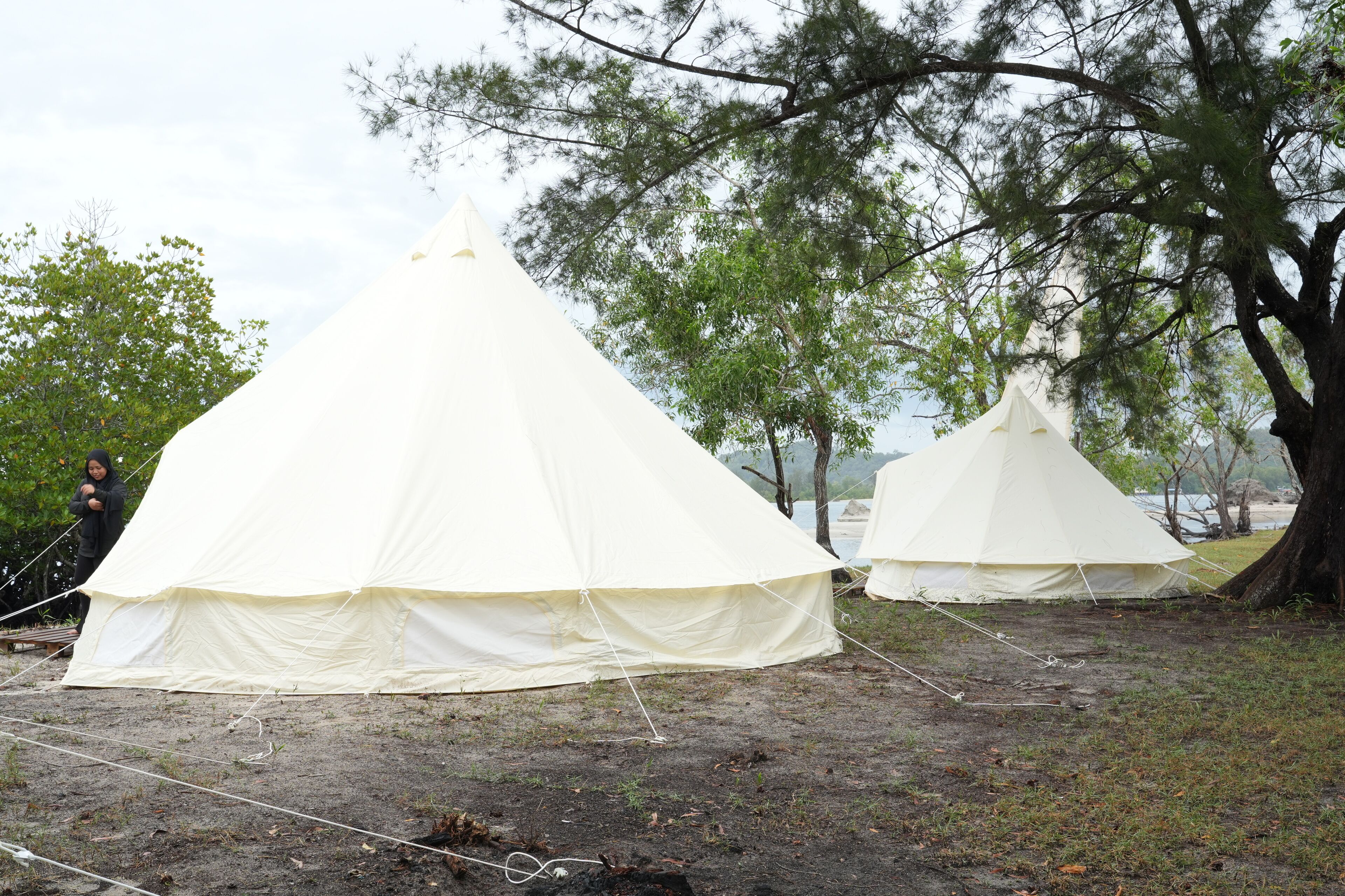 Two white tents set up on a grassy area with trees in the background.