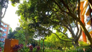 Un patio con un sendero adoquinado, una banca y diversas plantas.