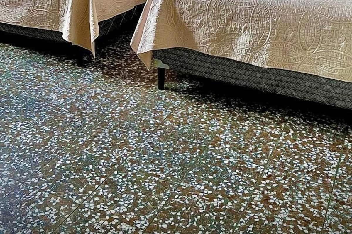 Une chambre d’hôtel avec deux lits, une table de chevet, une lampe et un luminaire suspendu.