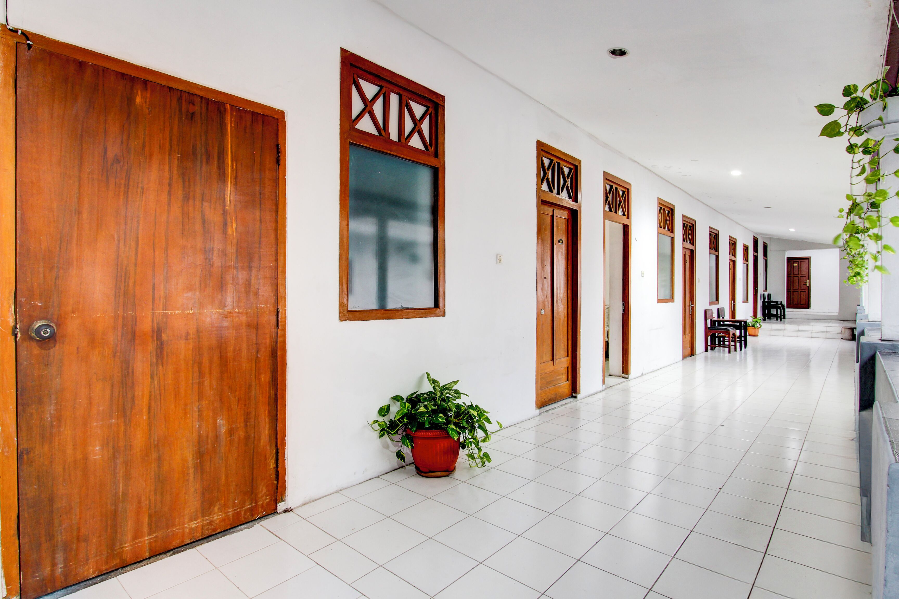 A hallway with wooden doors, a potted plant, and a tiled floor.