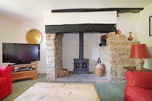 TV, fireplace, DVD player, books - 18th Century Cottage in Heart of Dorset (Sherborne)