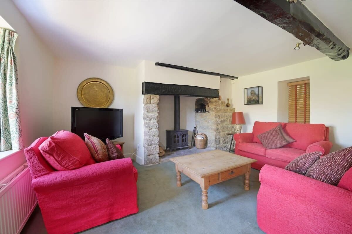 TV, fireplace, DVD player, books