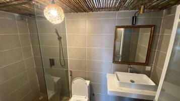 Ein Badezimmer mit einer Duschkabine, einer Toilette und einem Waschbecken mit Spiegel.