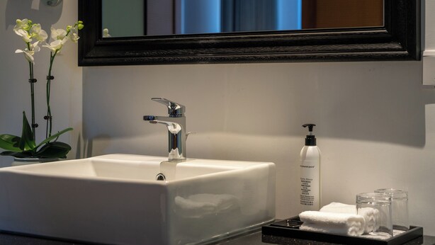 A bathroom with a white sink, a mirror, a plant, and toiletries. - Thanks Hotel (Xinzhou)
