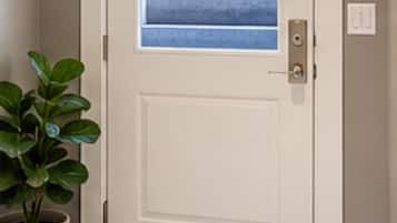 Uma porta branca com painel de vidro, um vaso de planta e um tapete listrado.