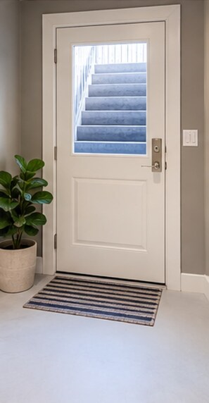A white door with a glass panel, a potted plant, and a striped rug.
