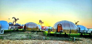 A row of dome-shaped tents with a clear entrance, arranged in a campsite with a paved ground and some greenery.