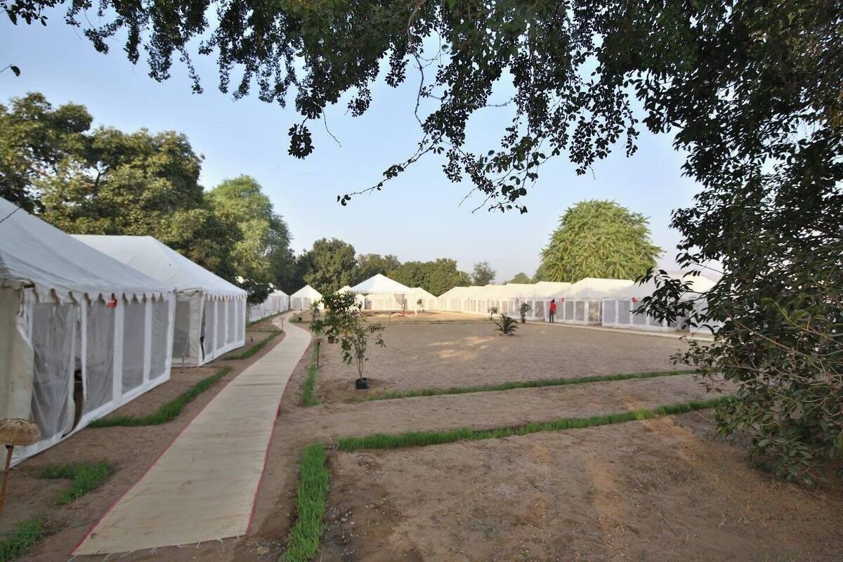 A row of white tents with a paved walkway in between, set in a grassy area with trees in the background.