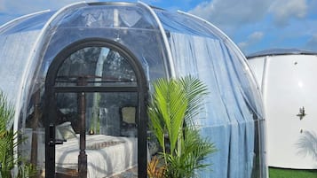 Dome | Wi-Fi gratuito