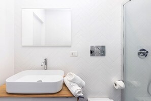 Shower, hair dryer, bidet, towels
