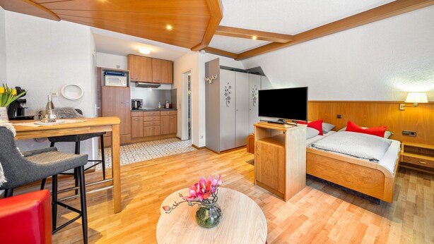 A compact room with a bed, a TV, a dining area, and a kitchenette. - Apartment '5' with Mountain View, Shared Terrace and Wi-Fi (Bad Rippoldsau-Schapbach)