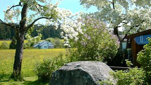 A rural landscape with a large rock, a tree with white blossoms, and a small house. - Apartment 'Mit Terasse 110qm' with Mountain View, Private Terrace and Wi-Fi (Schluchsee)