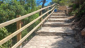 A wooden staircase leading up to a stone structure surrounded by trees.