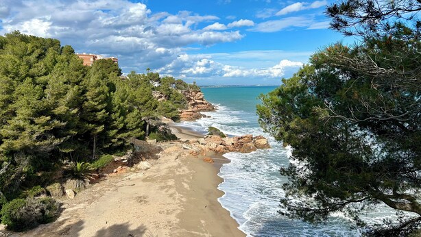 A coastal road with a sandy beach, rocky cliffs, and dense pine trees.