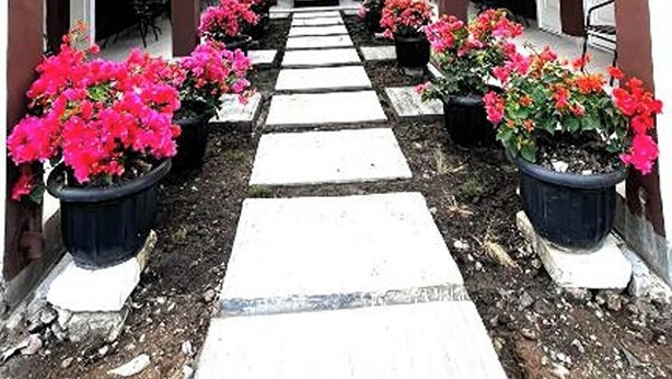 A corridor with a central pathway flanked by potted plants and buildings with balconies.