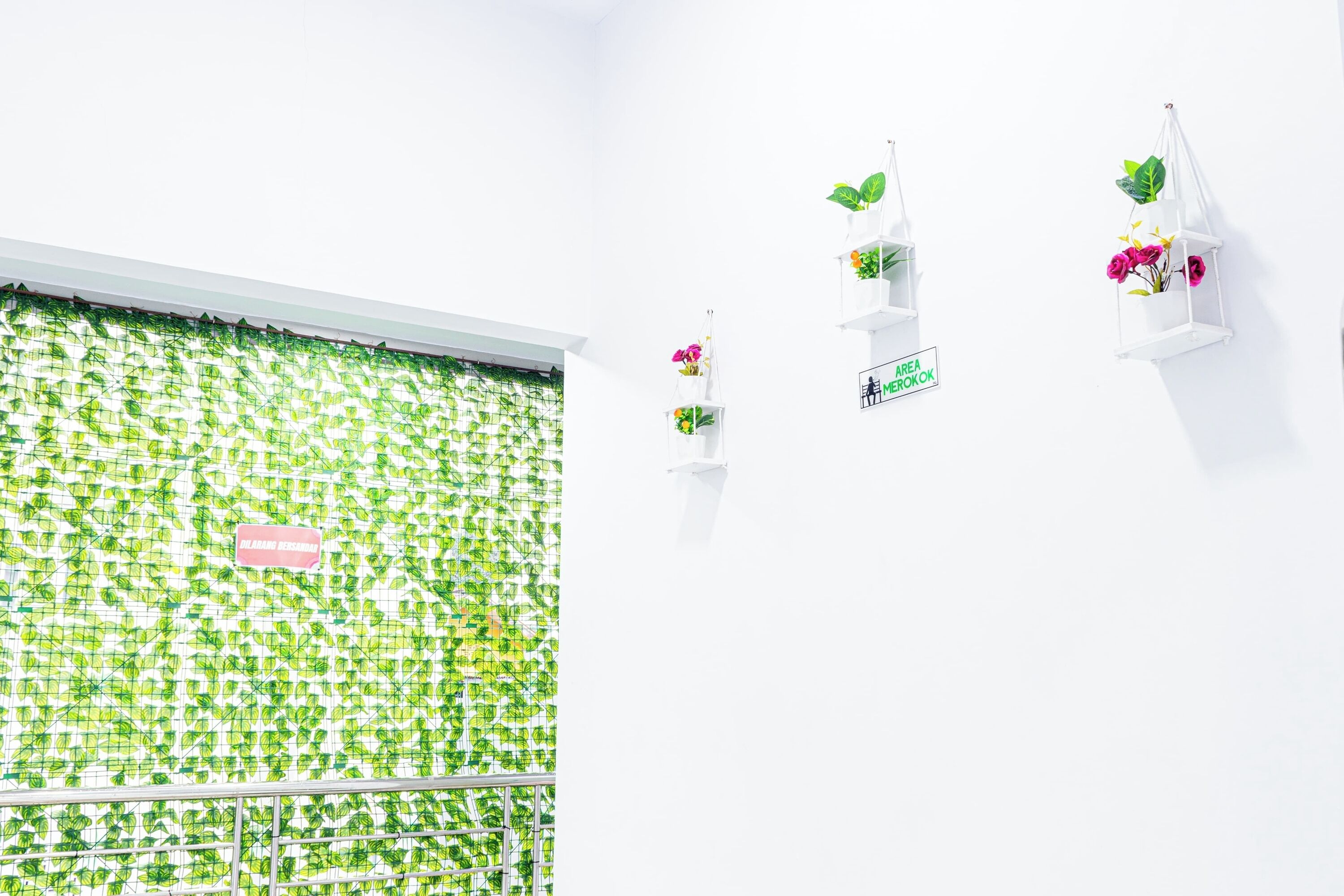 A room with a green leafy wall, white shelves with plants, and a sign reading "MEREKROKON".