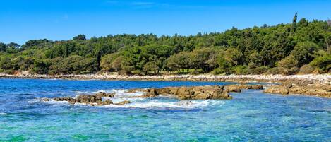 A coastal landscape with clear blue waters, rocky outcrops, and a dense forested hill in the background.