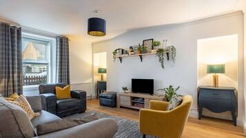 TV, fireplace, books