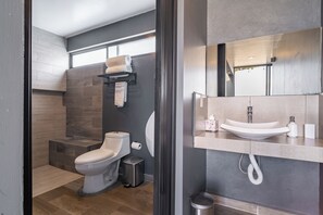 House, 5 Bedrooms, Smoking, Balcony | Bathroom - Luxurious 5-bedroom House With Air-conditioning & Private Rooftop in Juriquilla (Querétaro)
