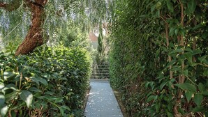 A pathway flanked by dense foliage and a tree trunk on the left. - Olimpia Villas (Apokoronas)