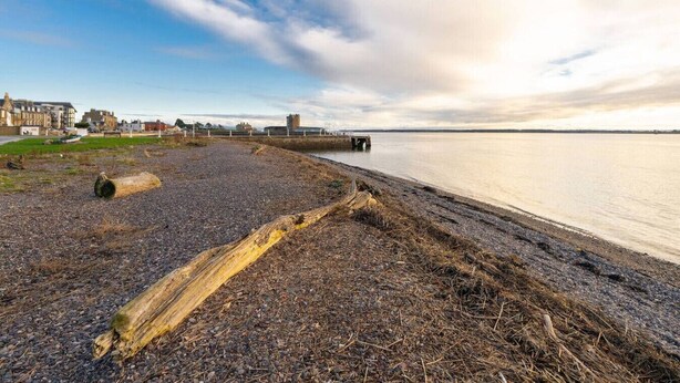 Een kiezelstrand met een houten boomstronk.