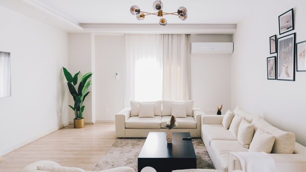 A modern living room with a beige sofa, a black coffee table, and a large potted plant. - The Seven Six Near Waterway 5A - 4, THE SEVEN SIX near WATERWAY 5A MALL By ELEGANT (New Cairo City)