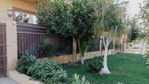 A well-maintained garden with a variety of plants and a small tree. - The Seven Six Near Waterway 5A - 10, THE SEVEN SIX near WATERWAY 5A MALL By ELEGANT (New Cairo City)
