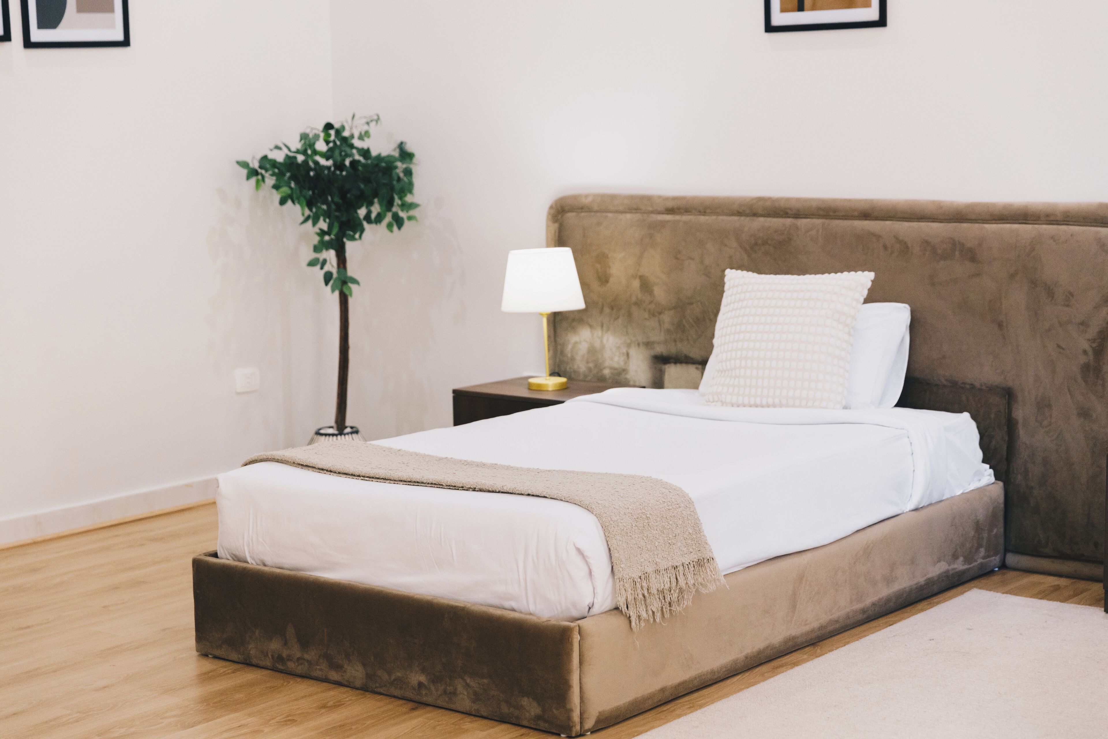 A bedroom with a bed, a nightstand, a lamp, and a plant.