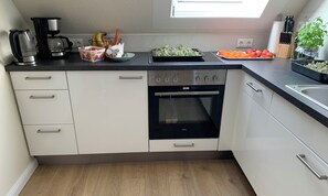 Fridge, oven, stovetop, dishwasher