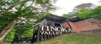 Tingkat Valley